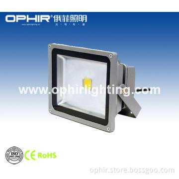 Stainless Steel Waterproof BridgeLux 30W LED Flood Lights